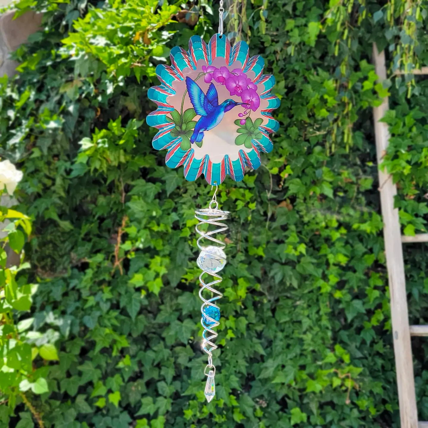 Animated Blue Hummingbird Mini Set