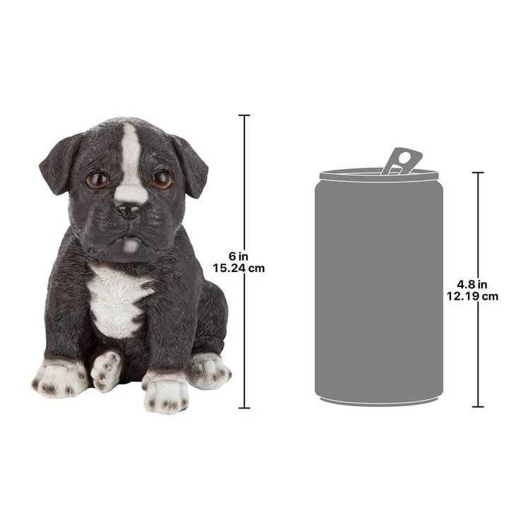 Border Collie Puppy Partner - Image 2