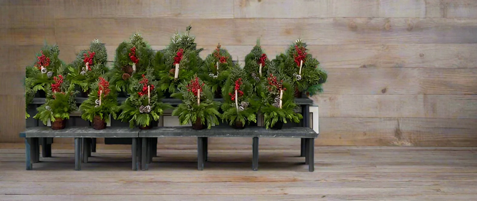 Christmas Pots