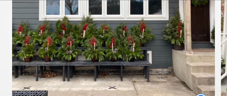 Christmas Pots - Image 2
