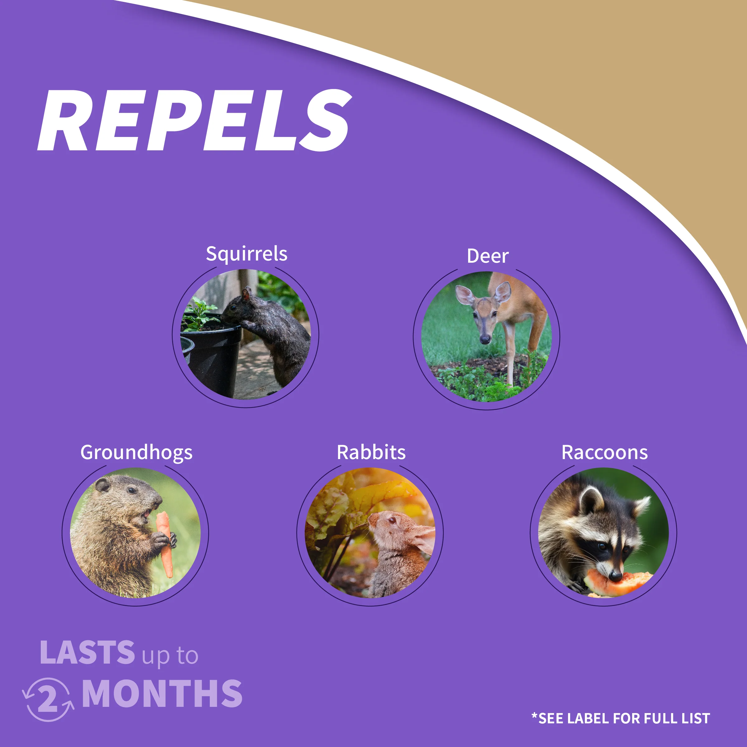 Repels-All Granules 3 Lbs. - Image 3