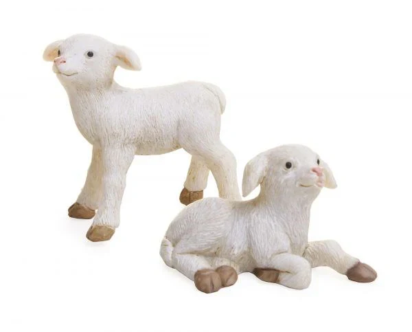 Sheep - Image 2