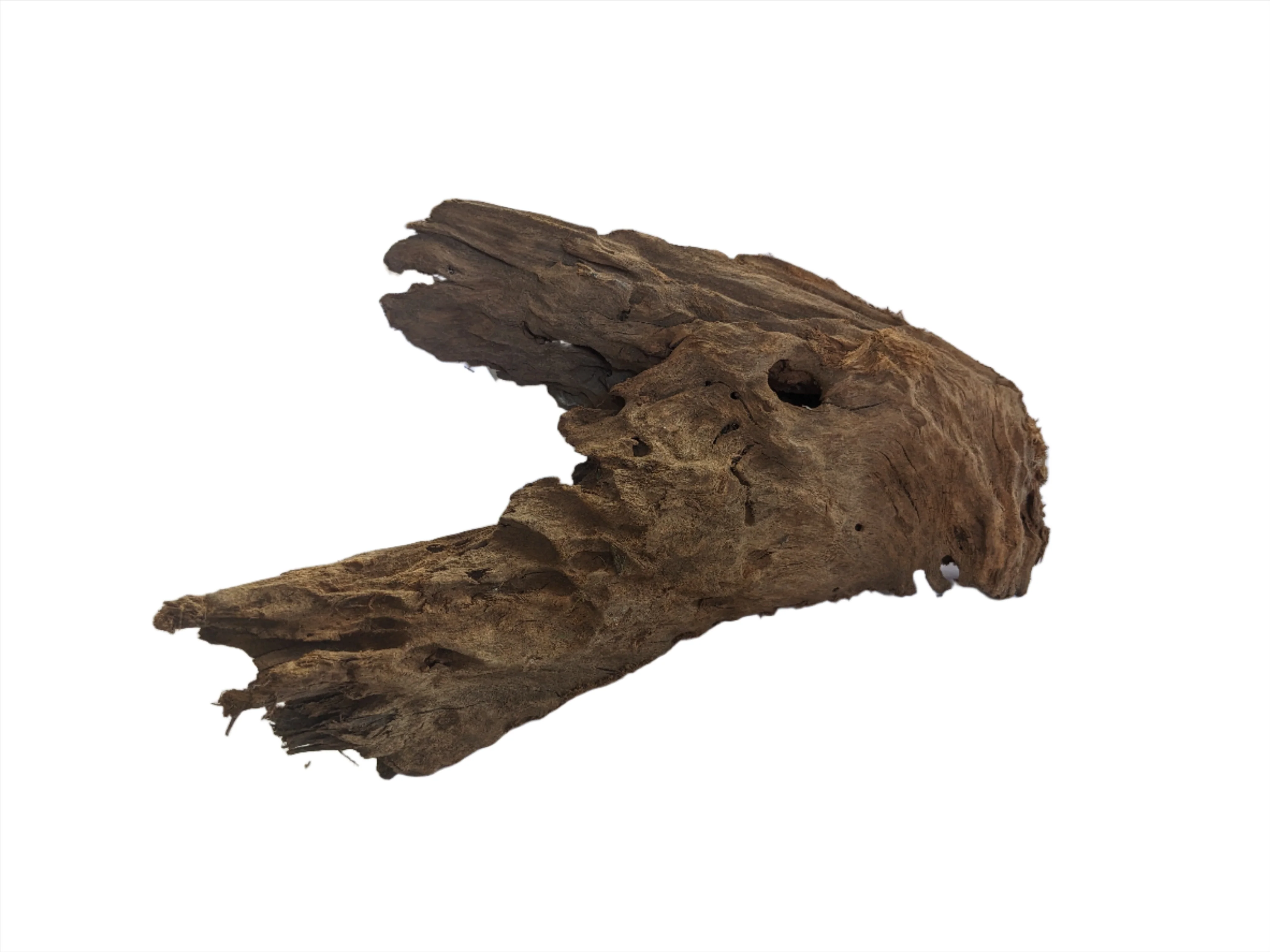 Drift Wood - Image 2