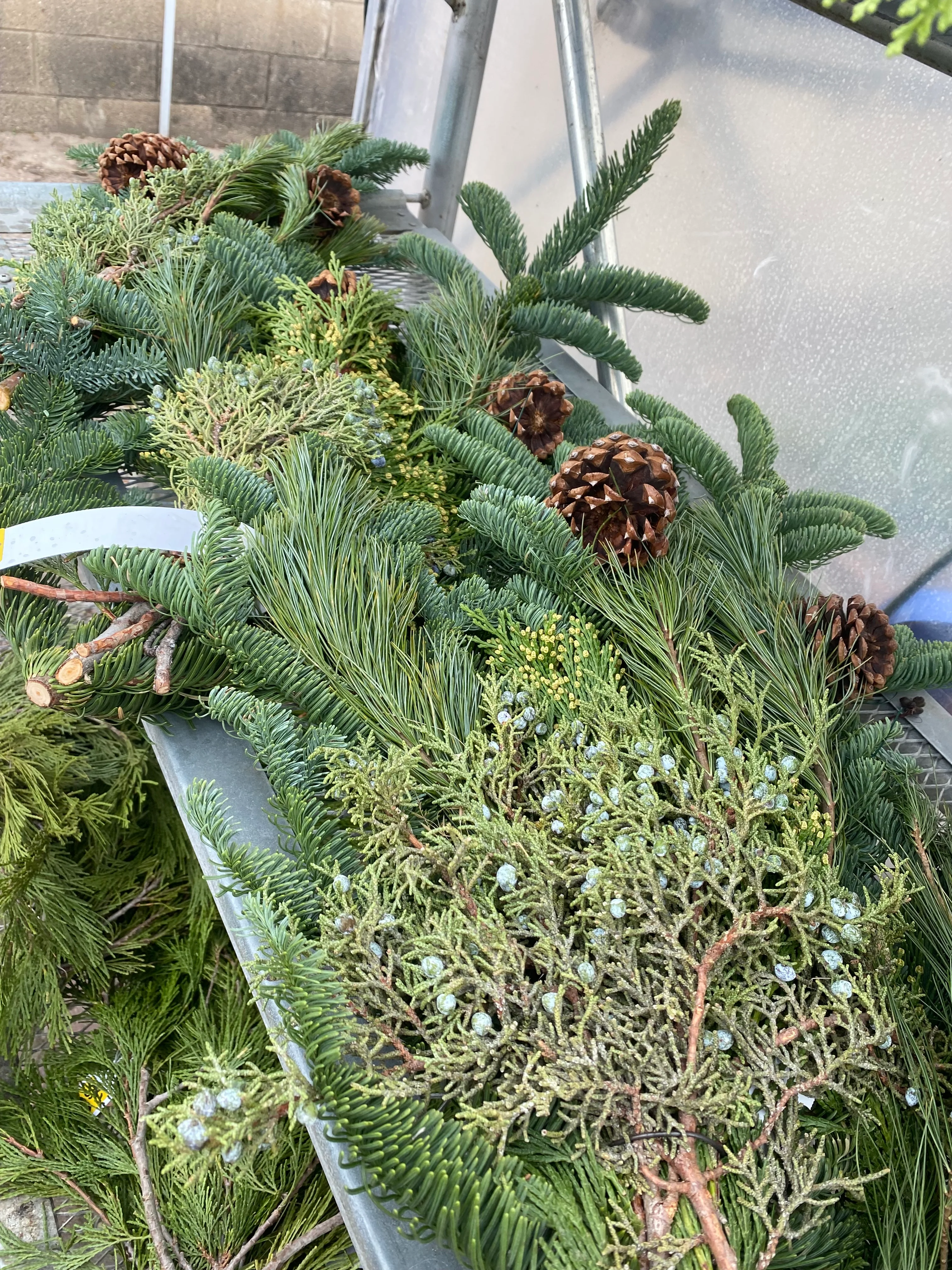Evergreen Boughs - Image 4