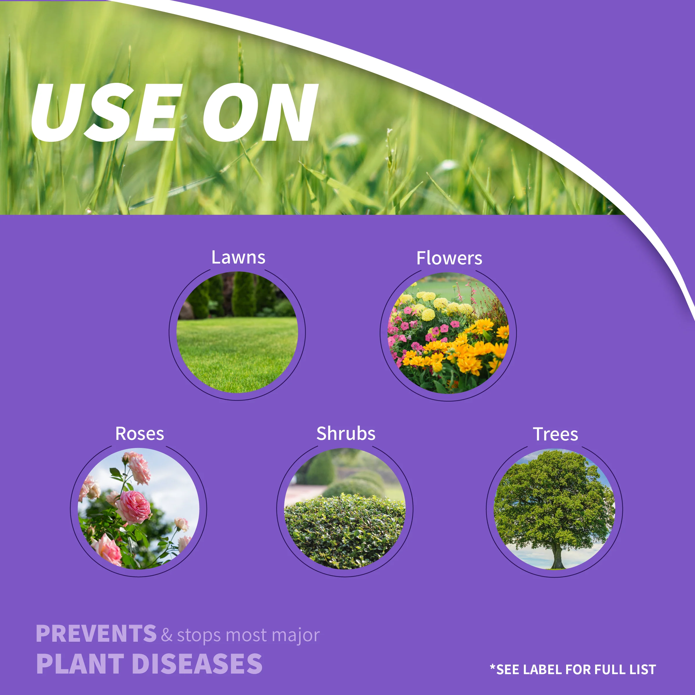 Infuse Ready to Spray-32 oz. - Image 2