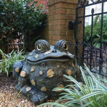 Super Duper Jumbo Toad - Dark Natural - Image 2
