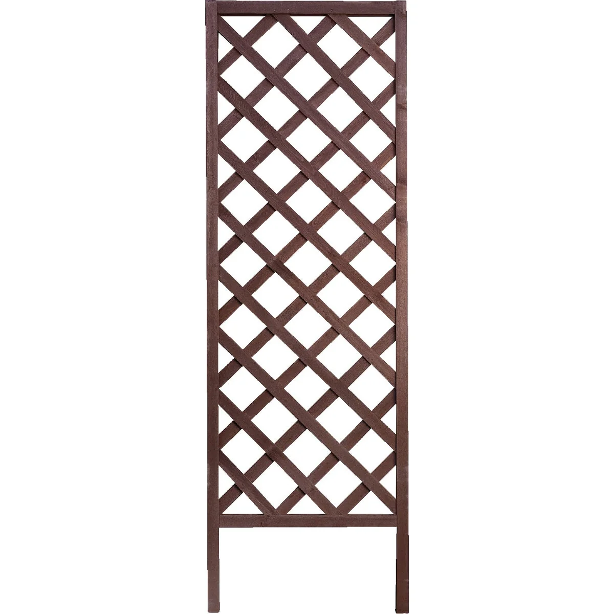 PANACEA BRN LATTICE TRELLIS