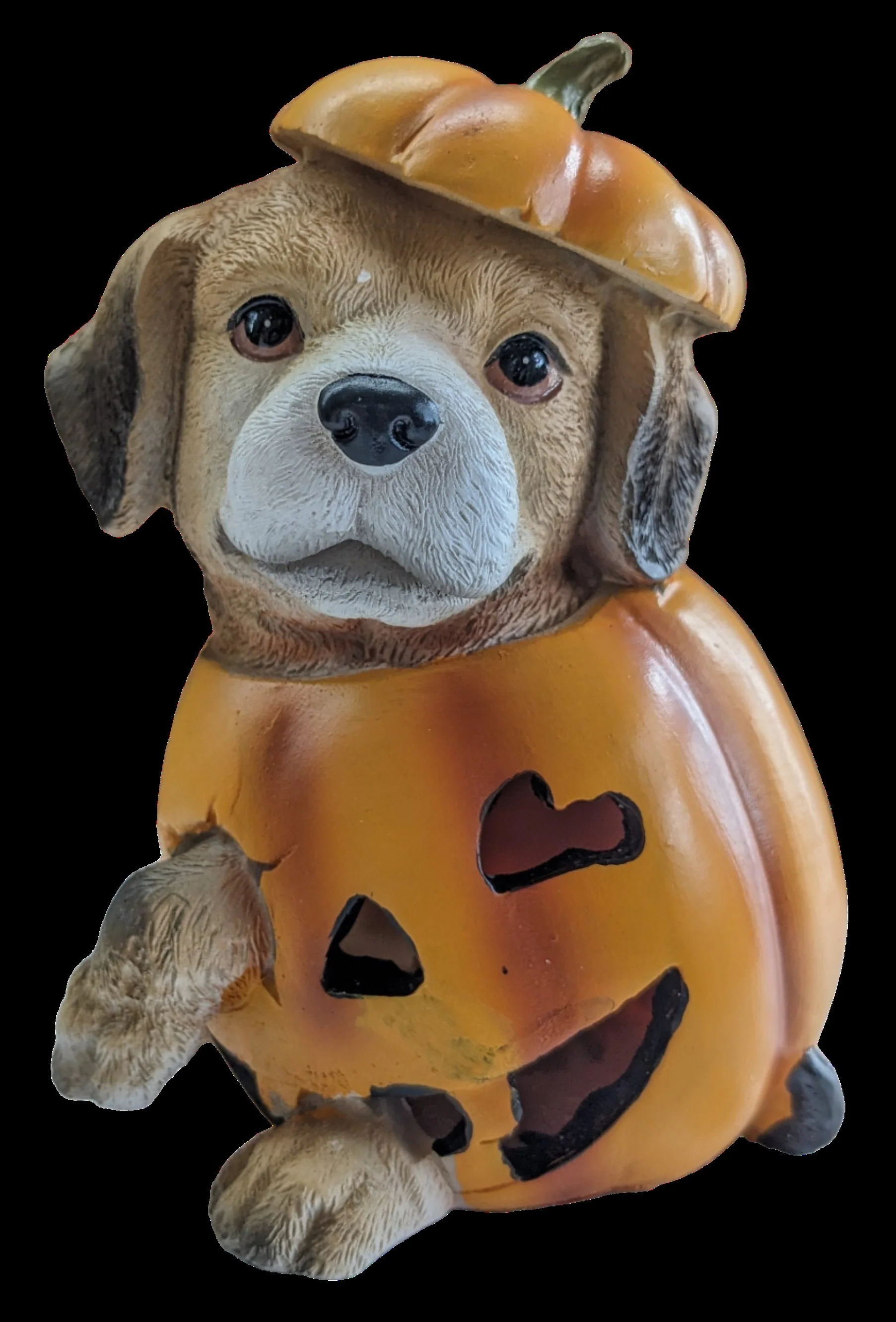 Resin LED Pumpkin Puppy - Image 3