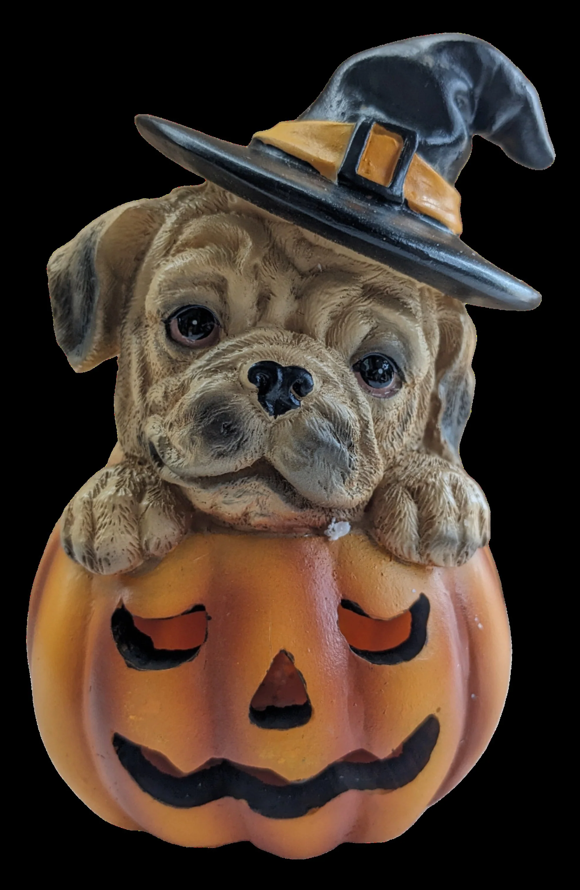 Resin LED Pumpkin Puppy - Image 4