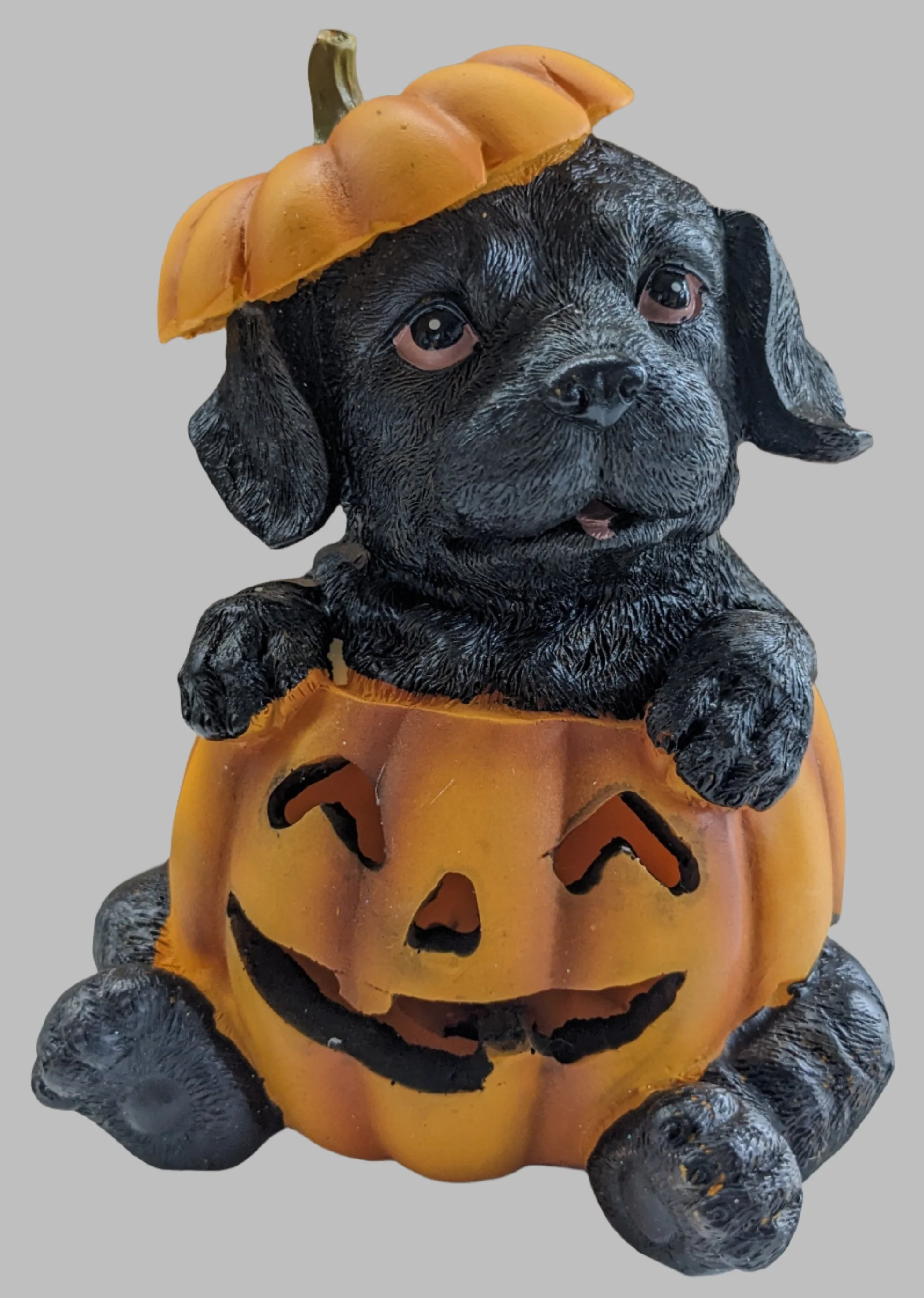 Resin LED Pumpkin Puppy - Image 5