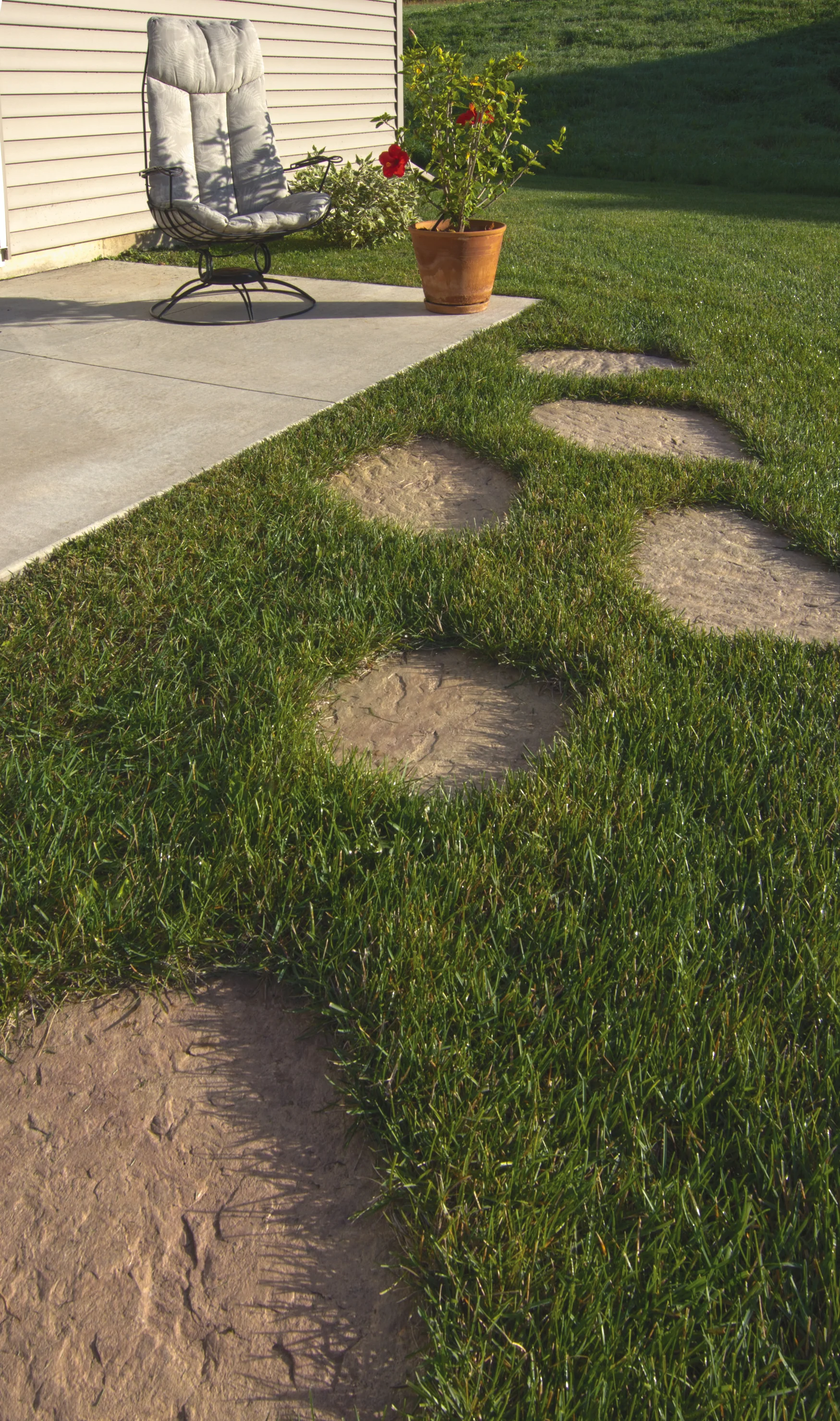 Stepping Stones - Image 4