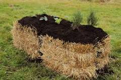 Straw Bale-3'L x 2'H - Image 3